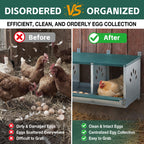 Chicken Nesting Box 3 Compartment-3