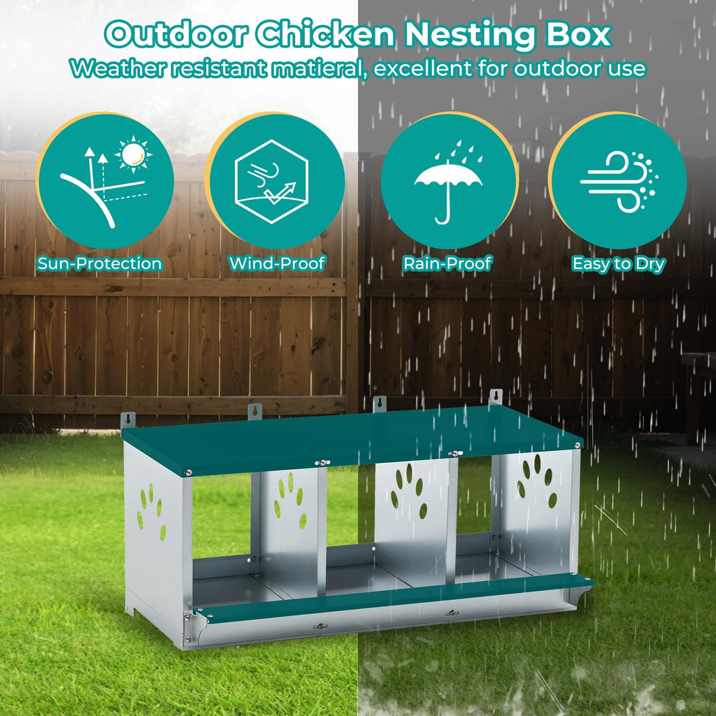 Chicken Nesting Box 3 Compartment-7